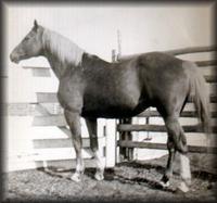 Brush_Mount