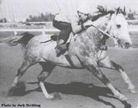 Quick M Silver1952