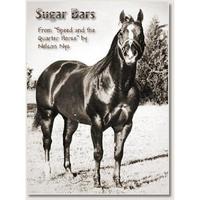 Sugar Bars