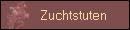 Zuchtstuten